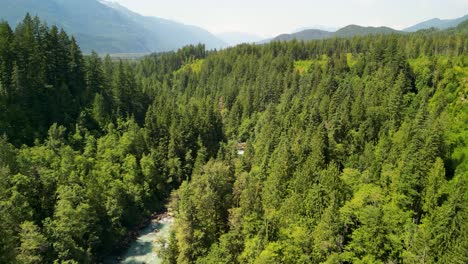 aerial ascent over forest and mamquam river, bc, canada