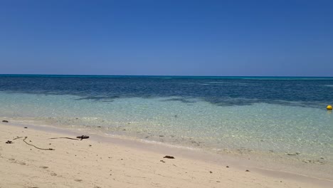 Lufttiefflug-über-Sandstrand-Auf-Grüner-Insel