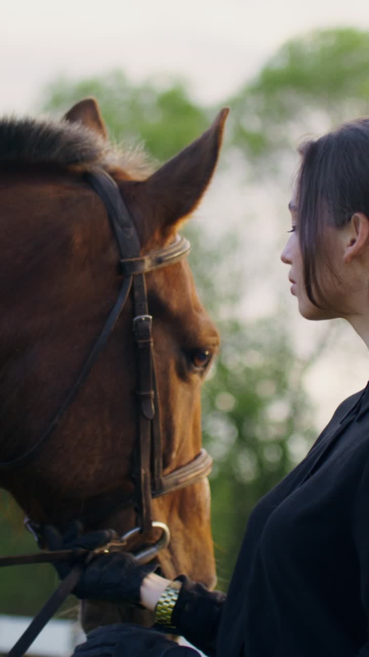 Horse and Person Connection