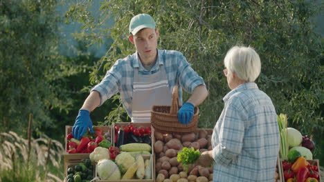 An-elderly-woman-buys-vegetables-at-a-farmers-market,-the-seller-puts-the-vegetables-in-her-basket.