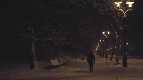 hooded person walking forward with his back to the camera in a snowy park under the light of street lamps at night