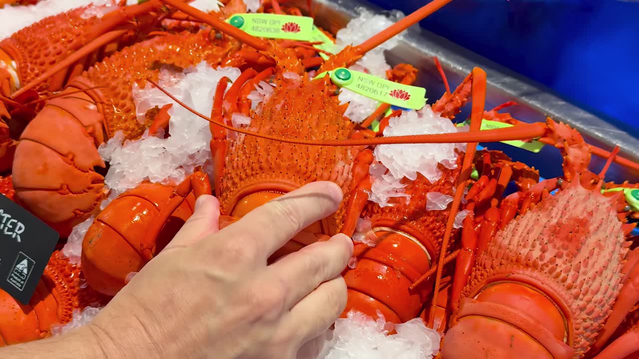 Close-up of hands choosing bright red lobsters from an ice-filled seafood display.