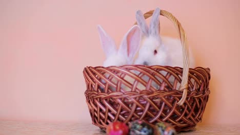 a wicker basket decorated with flowers and filled with easter eggs, sitting on a rock in a sunlit field