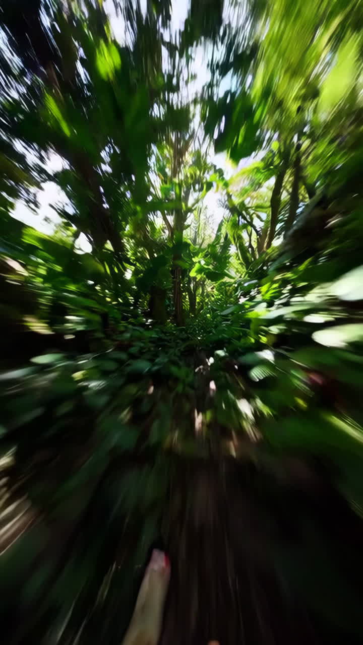 Jungle Path in Motion