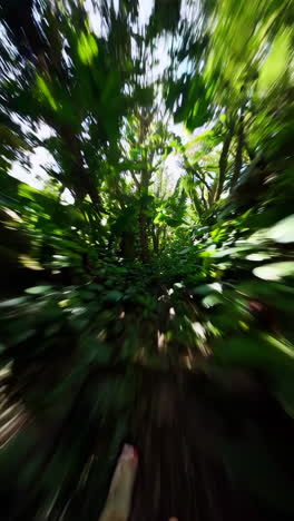 jungle path in motion