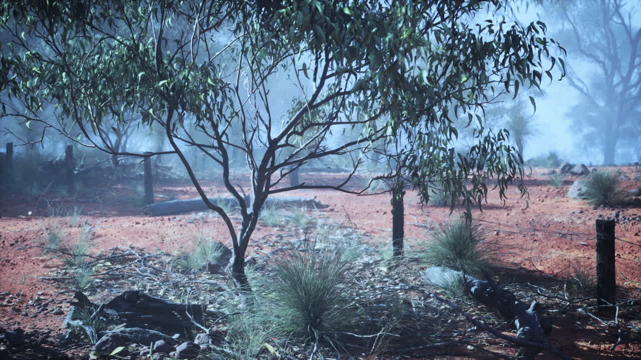 un árbol solitario de pie en un campo