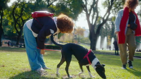 woman playing with dog on green lawn in public park