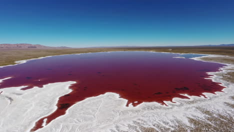 stunning aerial view of a pink salt lake