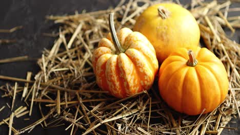 three pumpkins on pile of hay