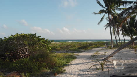 droneshot de mexico beach palmeras y oceano