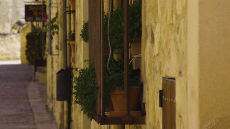 plantas ornamentales en macetas en la pared exterior de casas tradicionales en pedraza, segovia, españa