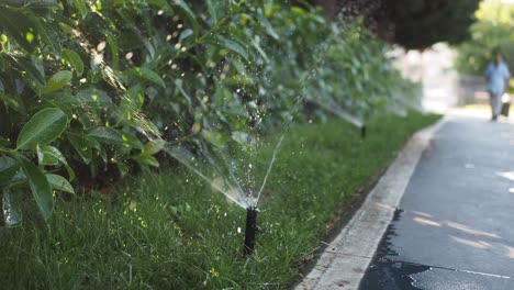 Watering the lawn with sprinklers in a park