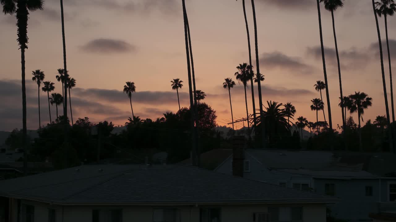 Bellissimo tramonto californiano con palme da un tetto a Los Angeles