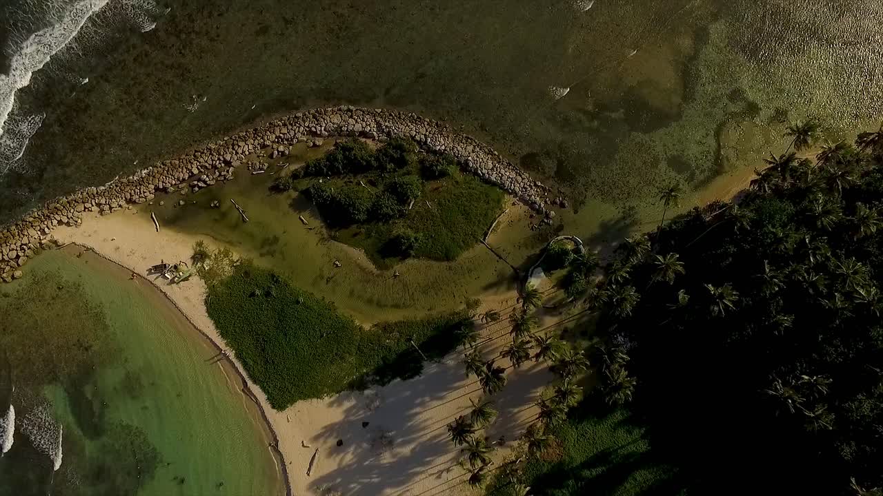 생동감 넘치는 마이애미 해변, 은 물, 나무, 그리고 비는 군중, 공중 전망.