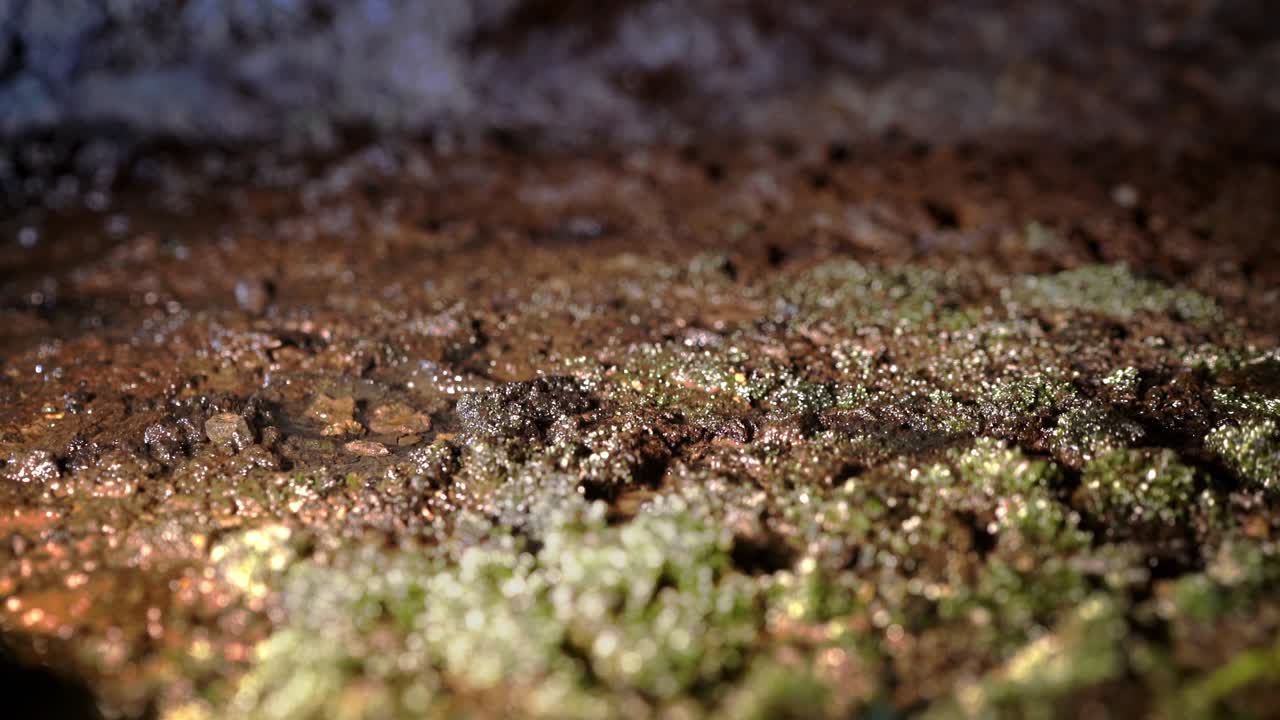 사우 비센테 동굴의 바위 표면에 떨어지는 깨한 물방울의 4k 영상.