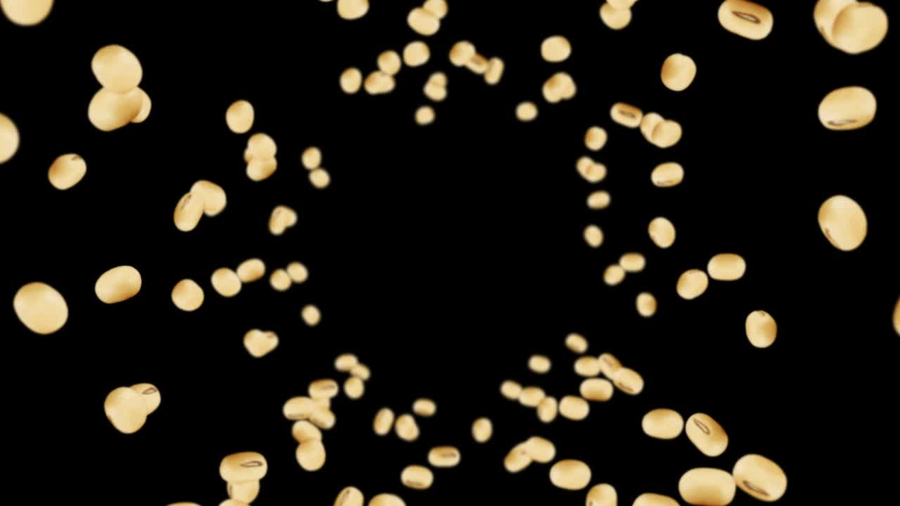 검은색 바탕에 많은 콩을 날아. 밝은 갈색 곡물. 콩과 콩. 건강한 음식. 회전하는 콩의 3d 루프 애니메이션.