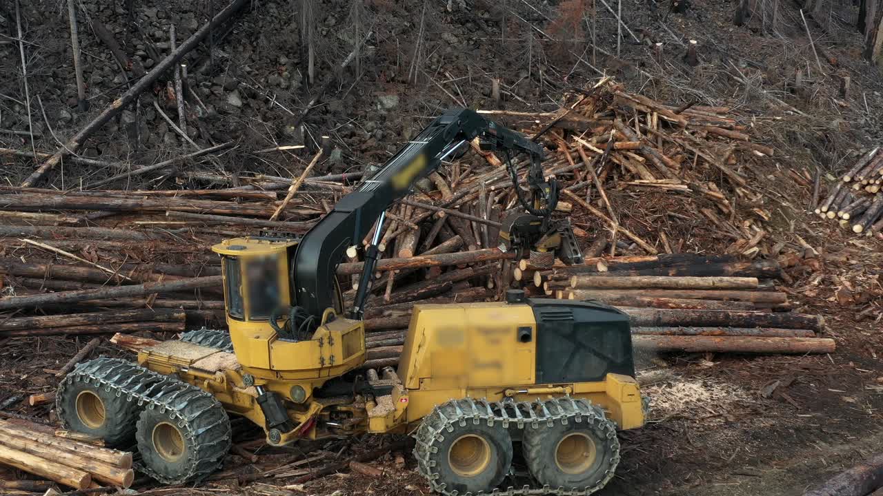 промышленная лесозаготовка: воздушный вид сборщика на работе в британской колумбии