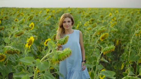 Portrait-of-a-young-woman-in-a-blue-dress-walking-in-the-sunflower-field,-looking-in-the-camera.-Beautiful-lady-enjoying-nature