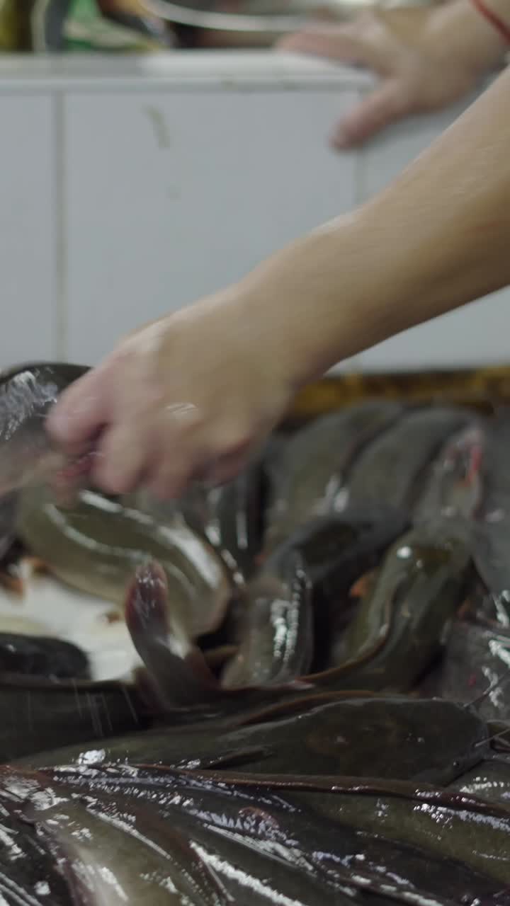 pescado fresco en el mercado