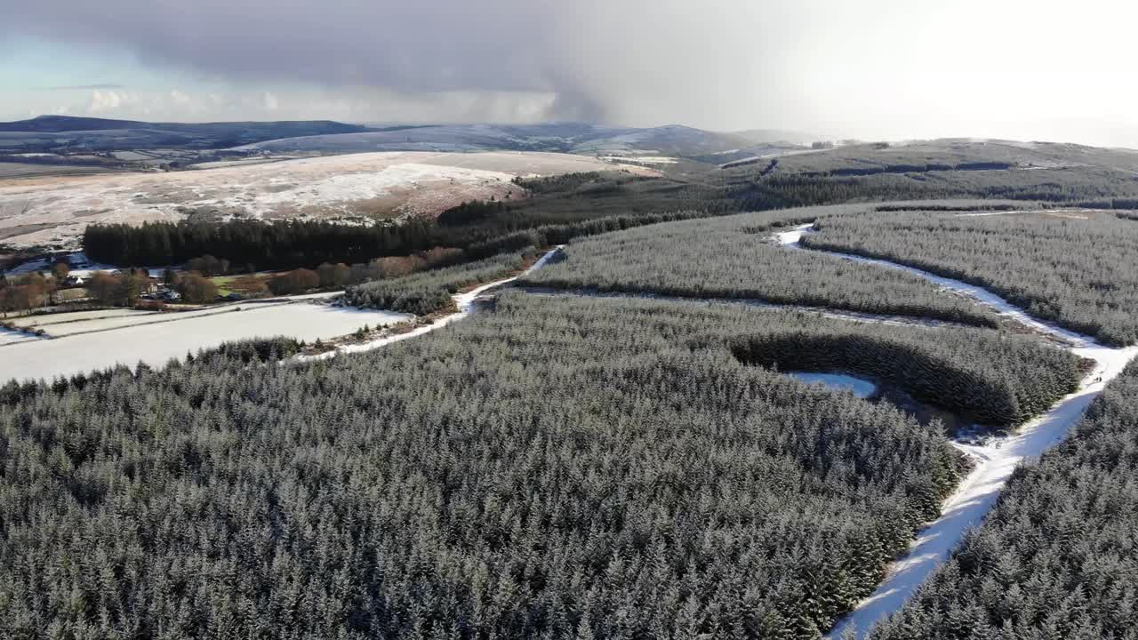 往後轉向左拍攝 望向貝爾維爾森林 向達特摩爾的沼澤地 德文英國