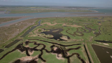 pantanos y arroyos en tollesbury en la costa de essex en el reino unido
