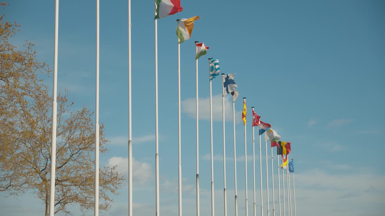 развевающиеся на ветру международные флаги демонстрируют единство