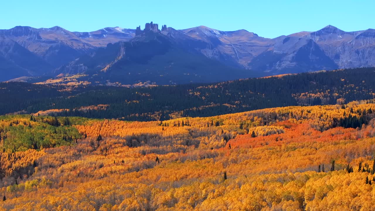 Ohio Kebler Swampy Pass Crested Butte thick full Aspen Trees Fall Autumn auburn peak colors Castle Mountain aerial drone Colorado Gunnison National forest morning sunny blue sky circle right