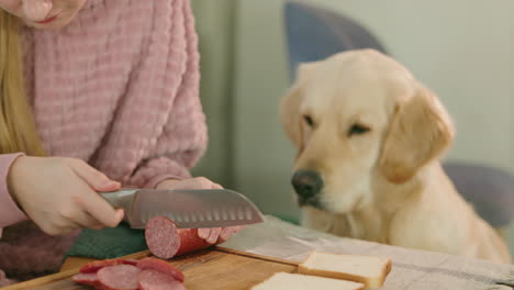 girl cutting sausage for sandwich while dog watches