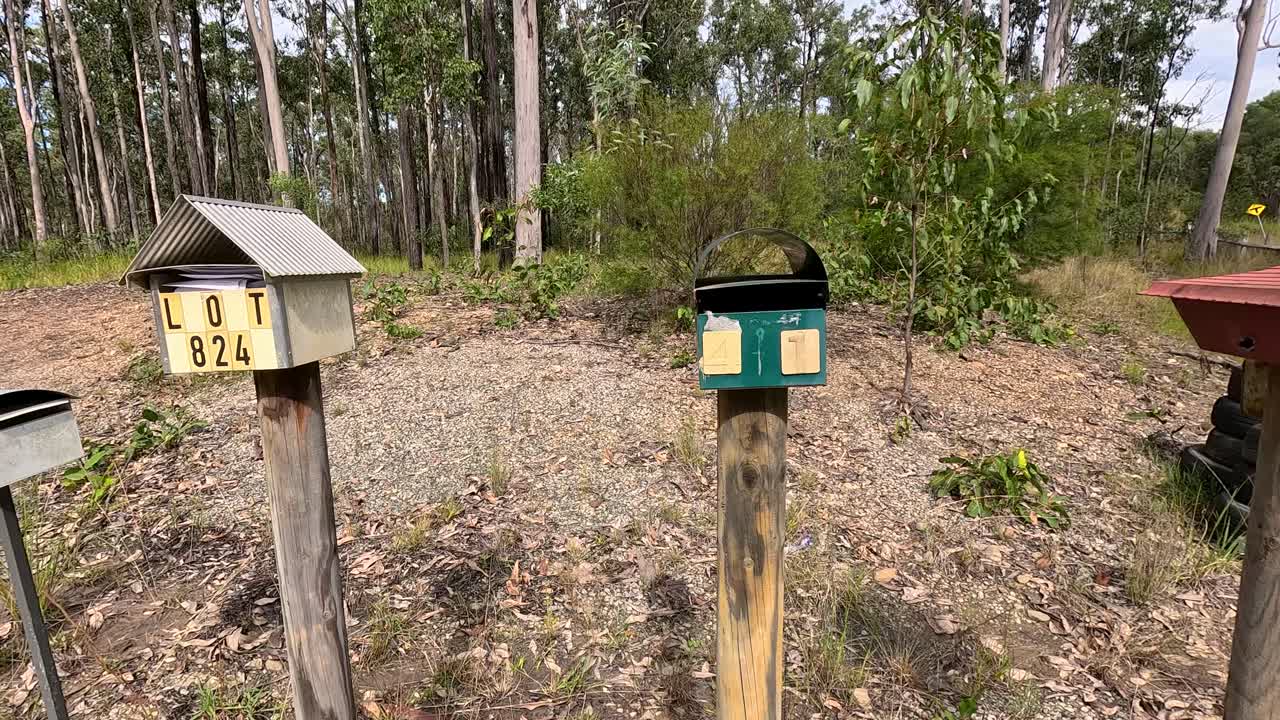 A series of mailboxes along a rural road in Australia, surrounded by natural vegetation under bright daylight