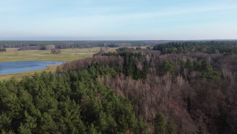 drone fly above mixed forest scenery sunny day aerial high angle