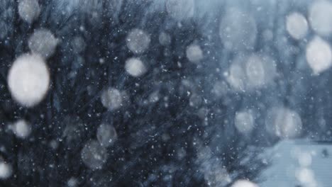 close up video of snow falling in slow motion, with more snow falling as time goes on