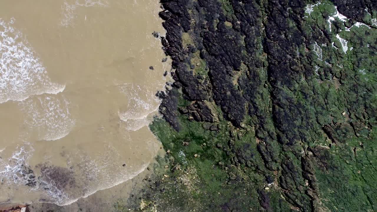 video de drones de 4k de olas llegando a la orilla sobre rocas con algas marinas