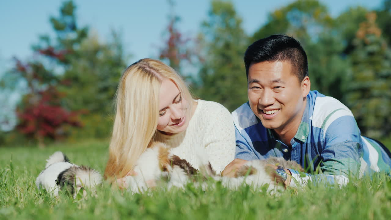 젊은 부부는 강아지와 놀아요