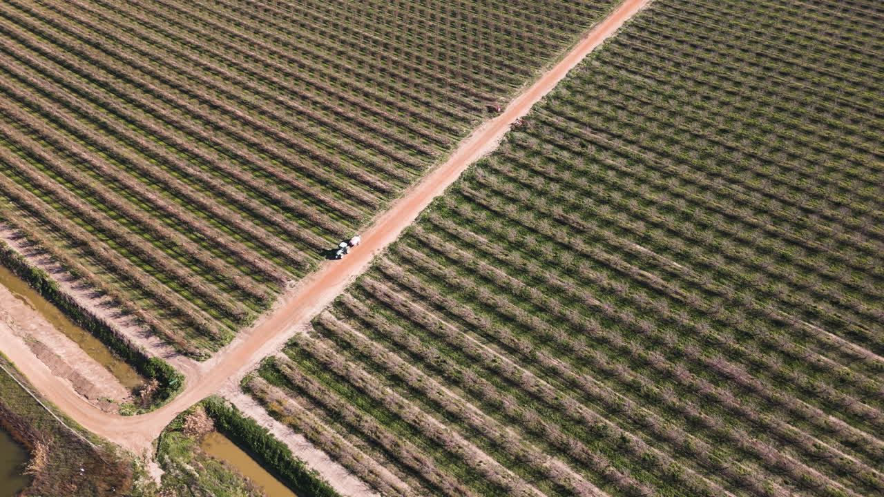 Lonely tractor in massive fields of Spain, aerial view
