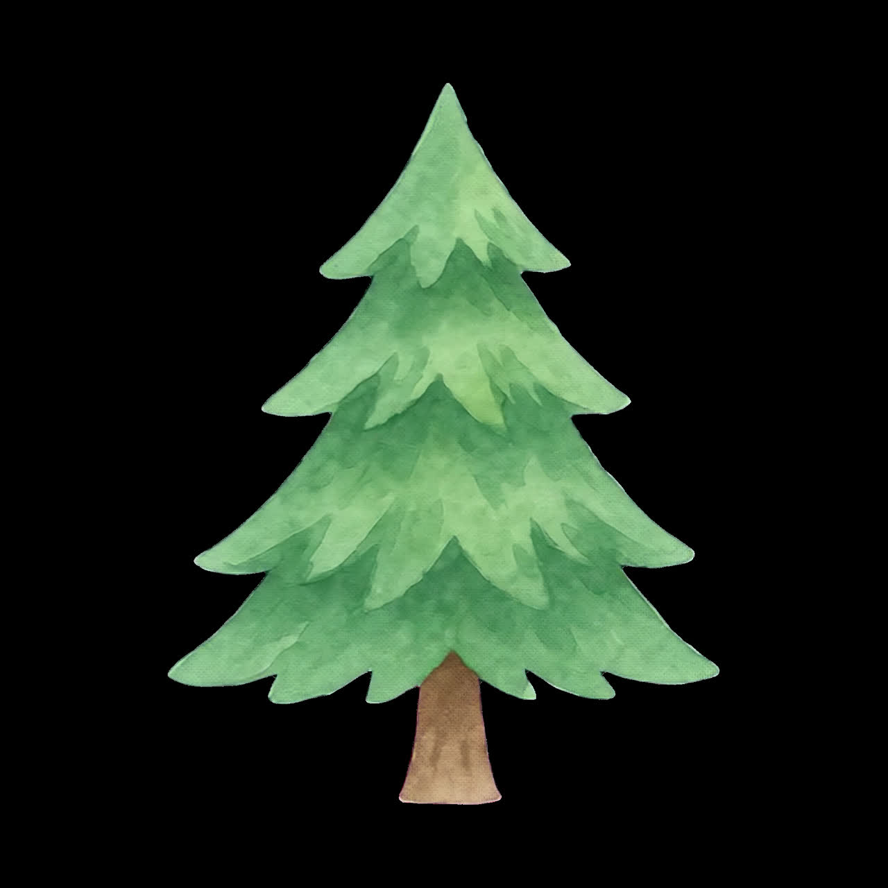 Watercolor evergreen tree illustration animation isolated asset, transparent 4K video, alpha