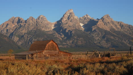 cinematic pan left slowly mormon row historic district first light sunrise morning grand teton national park windy tall grass fall aspen golden yellow trees jackson hole wyoming beautiful blue sky