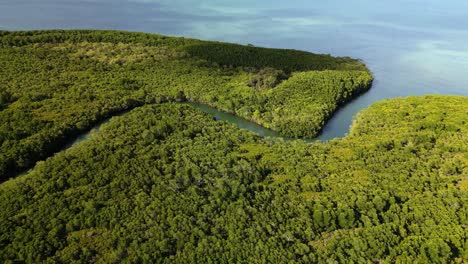 Creative-drone-view-of-a-Crocodile-inhabited-river-flowing-out-to-the-Great-Barrier-Reef-Marine-Park