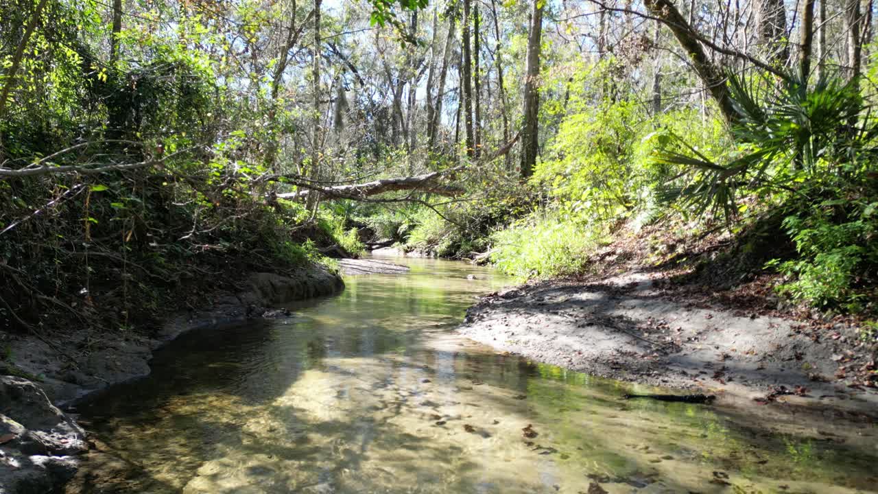Dronebeelden die inzoomen over een kreek in Gainesville, Florida, dicht bij de grond in een boslandschap