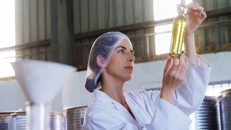 technician examining olive oil 4k