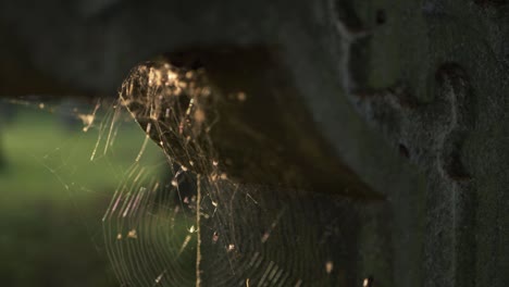 Cobweb-on-an-old-stone-neglected-headstone-close-up-shot