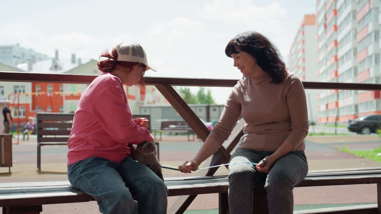 Caucasian Woman And Child Holding Cat On Bench In Playground Urban Apartment Blocks In Background, Soft Daylight, Tender Exchange As Woman Presents Rescued Cat To Curious Girl, Gentle Petting, Warm