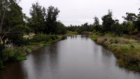 Luftvideo,-Das-Den-Fluss-Mit-Bewaldung-In-Seiner-Umgebung-Bereist