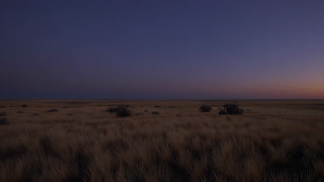 vast grassland landscape at dusk