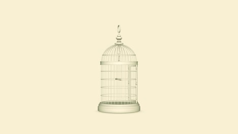 decorative bird cage 4k