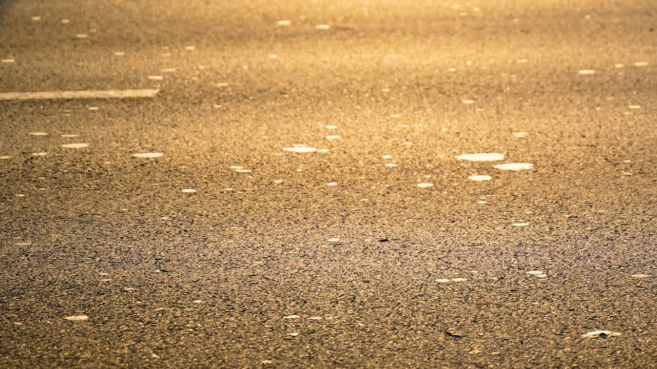 Cycling in winter sunset, shadow of two cyclists on the road