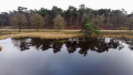 Beautiful-lake-of-water-with-trees-in-nature-in-national-park