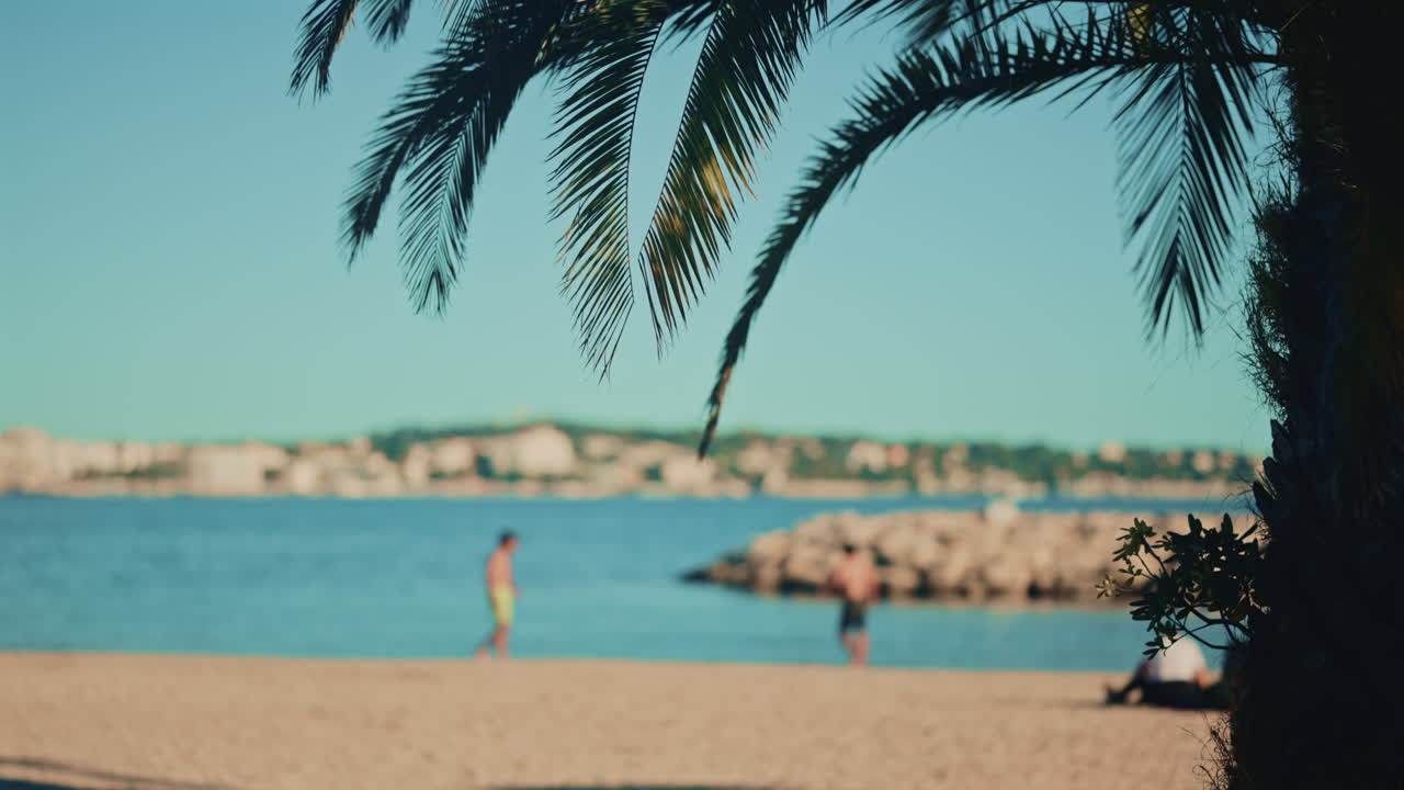 People relaxing and walking on a sandy beach by the sea, framed by palm leaves and tree trunk in the foreground with a coastal town in the distance