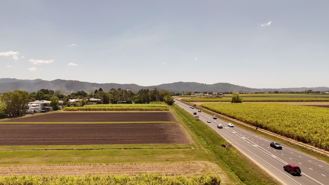 Cane farms in Australia on a sunny day