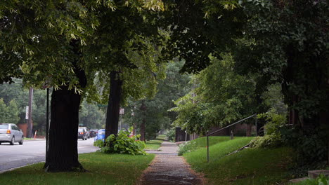 Neighborhood-Street-in-Early-Morning,-Green-After-Rain