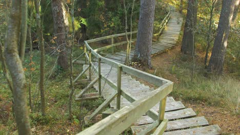 wooden trail in the green nordic pine forest landscape on sunny autumn day, steep stairs going down the hill, hiking pathway, medium handheld shot